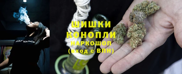 дурь Богородицк