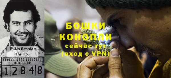 соль ск Богданович