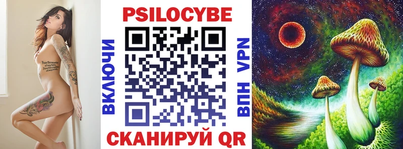 продажа наркотиков  Козельск  Галлюциногенные грибы Psilocybine cubensis 